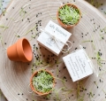 ekologiczne gadżety formowe zero waste - 100% papier biodegradowalny