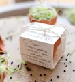 rosnące_doniczki_4.jpg